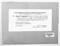 Image Associated With the Occurence